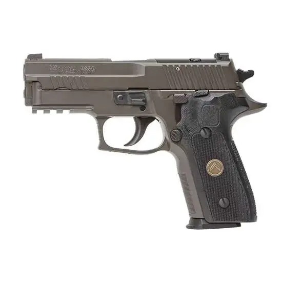Sig P229 Legion 9mm Luger DA/SA 3.90" 10+1, Legion Gray, Romeo 1 Cut Slide, Black G10 Grip