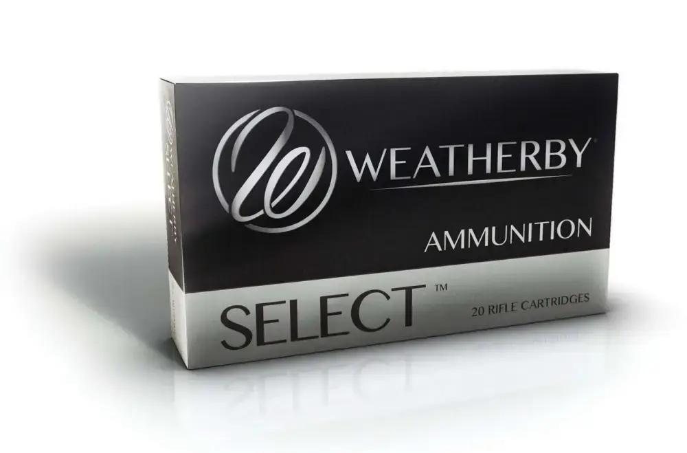 .340 WBY 250GR HORNADY INTERLOCK