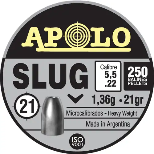 Apolo Slug 21gr 5.5mm .22 Caliber 250rd