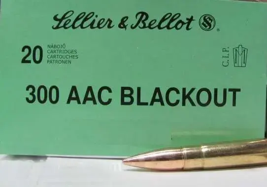 S&B 300BLK SUBSONIC FMJ 20