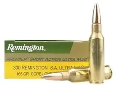 Remington Ammunition PR300SM2 Core-Lokt 300 Rem SAUM 165 gr Core-Lokt Pointed Soft Point (PSPCL) 20 Round Box