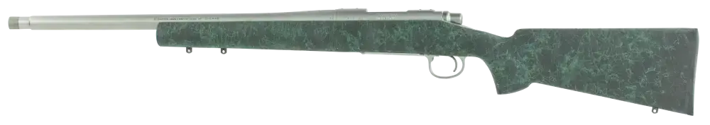 Remington Firearms 85507 700 5-R 223 Rem 5+1 20" Black w/Green Webbing Fixed HS Precision w/Aluminum Bedding Stock Stainless Steel Right Hand