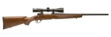 Savage 19793 10/110 Trophy Hunter XP 7mm Rem Mag 3+1 24" Satin Walnut Matte Black Right Hand