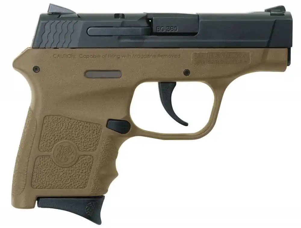 Smith & Wesson 10167 M&P 380 Bodyguard 380 ACP 2.75" 6+1 Black Armornite Stainless Steel Slide Flat Dark Earth Polymer Grip