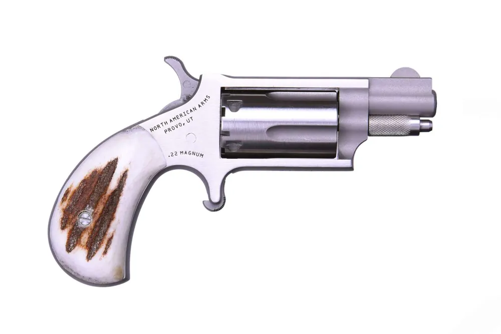 MINI 22MAG REV 1-1/8" SS/STAG#