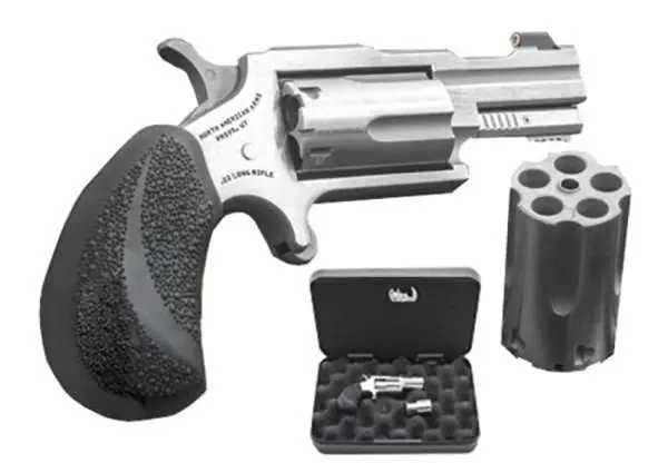 NAA COMBO BUG II 22LR&WMR TALO