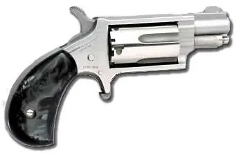 MINI 22MAG REV 1-1/8 SS BLKPRL