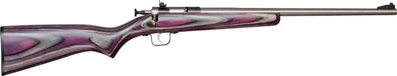 Crickett KSA2228 Crickett 22 LR 1 16.12" SS Blued Purple Right Youth/Compact Hand
