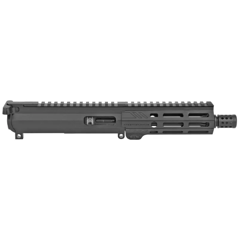 6? 9MM Complete Upper Assembly w/ BCG