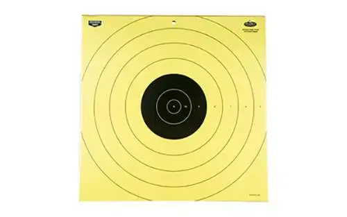 Birchwood Casey 35186 Dirty Bird Bullseye Hanging Tagboard Target 17.75" 5 Per Pack