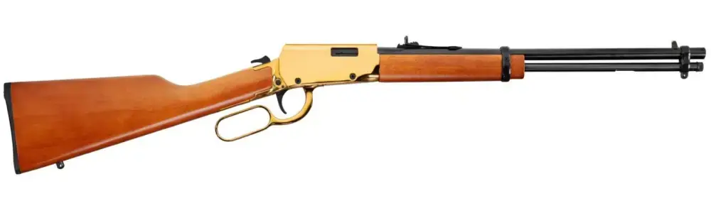 ROSSI RIOBRAVO 22LR 18" 15RD GOLD/HW