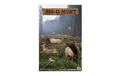 ACTION TGT BIGOHUNT 100PK
