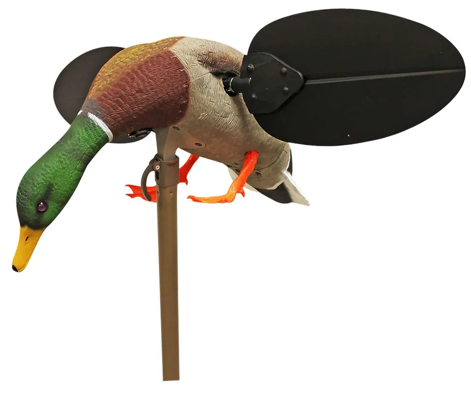 MOJO HW2533 MALLARD DRAKE