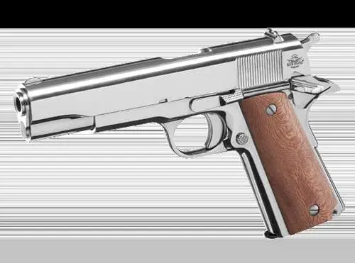 RIA GI STD FS 38SPR PSTL NK