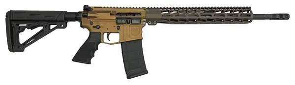 DS-15 TYP STD 5.56 RIFLE CHB