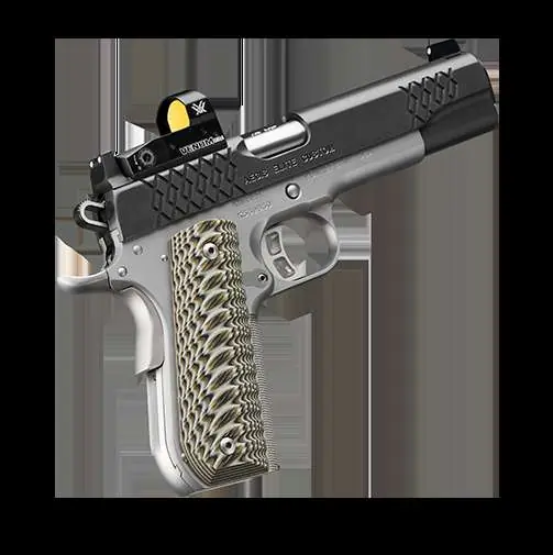 Aegis Elite Cust OI 45ACP 8RD