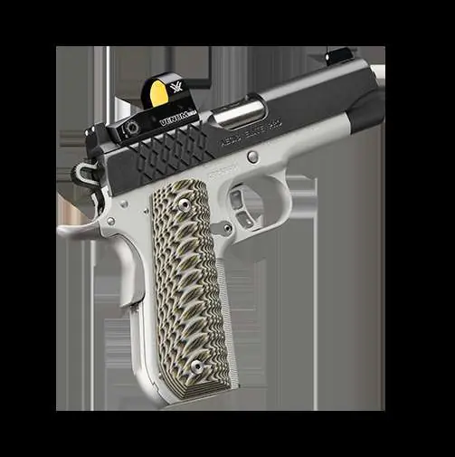 Aegis Elite Pro (OI) 45ACP 8RD