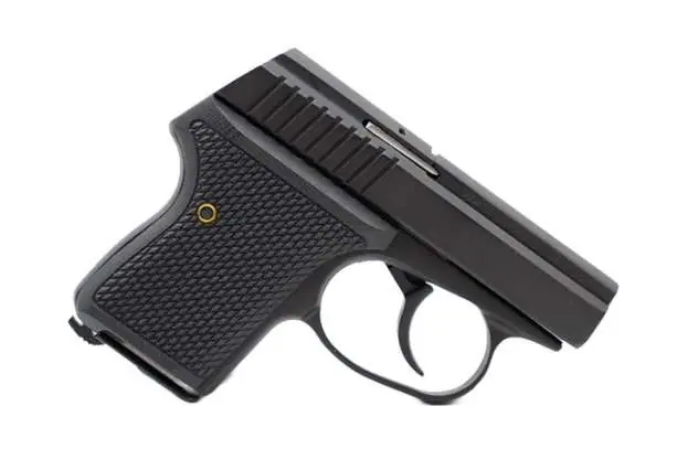 L.W. SEECAMP LWS-32 .32ACP BLK