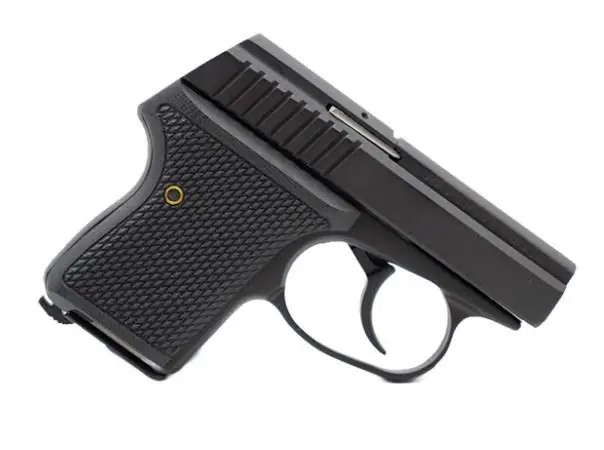 L.W. SEECAMP LWS-32 .32ACP BLK